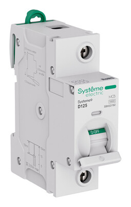 Автоматический выключатель Systeme9, 1полюс, 125А, D, 10 кА